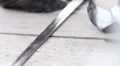 Warrior's munitions on table in the rain, military campaign, medieval history HD Footage