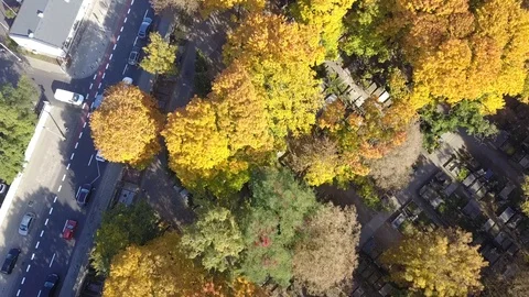 Warsaw flight on a cemetry Video stock 98096912