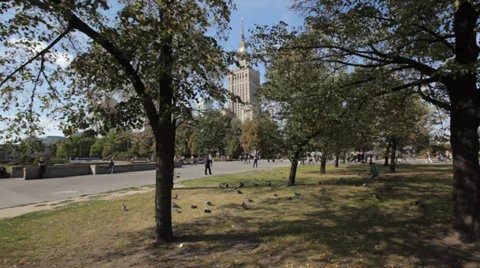 WARSAW TREES Stock Footage 27996222
