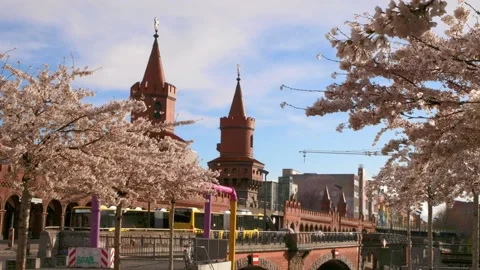 Warschauer Straße in Berlin with cherry trees blossom 動画素材 152377913