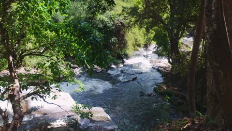 Warter13 Video stock 329667002