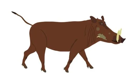 Warthog vector illustration isolated on white background. Bush Pig. イラスト素材
