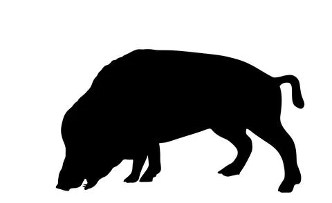 Warthog vector silhouette illustration isolated Stock Illustration