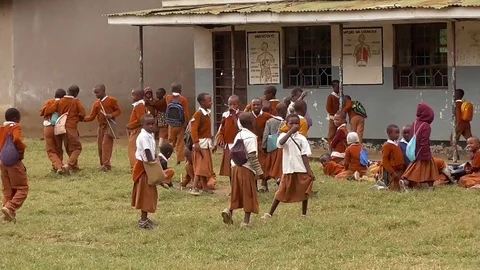 Warusha school in tanzania Stock Footage 83245280