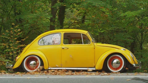 Was sabit Stock Footage 32504869