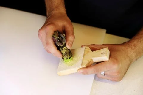 Wasabi that is extracted from the root with a special tool, Japanese cuisine Stock Photos