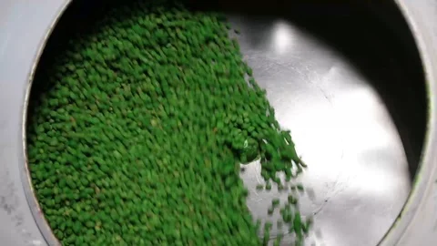 Wasabi Peanuts rotating in machine. Stock Footage 118976293