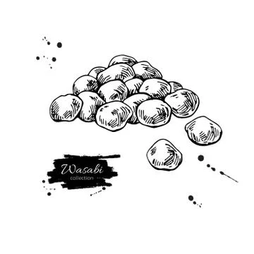 Wasabi peas vector drawing. Hand drawn japanese appetizer. Dry Spice food. Stock Illustration