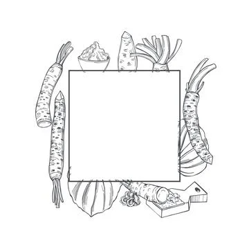 Wasabi, root and leaves.  Vector frame. Stock Illustration