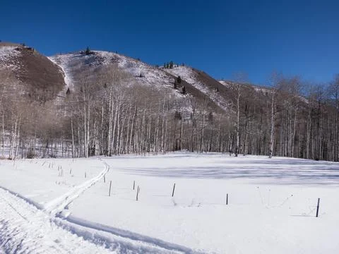 Wasatch Mountain range covered in fresh snow, sparkles in the sunshine. Stock Photos