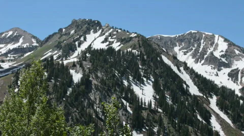Wasatch Mountains spring thru tree P HD 0602 Stock Footage 462439