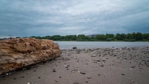 Wash ashored tree trunk after a storm at a river in 4 K Stock Footage 196943358