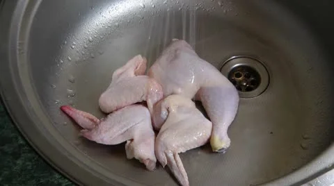 Wash chicken for soup Stock Footage 10291360
