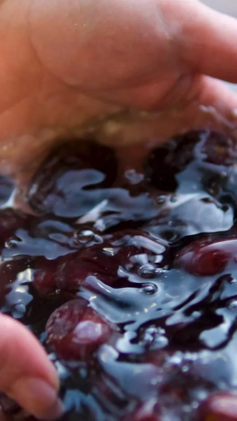 Wash dried dates a nutritious and traditional fruit commonly enjoyed during Video stock 302591496