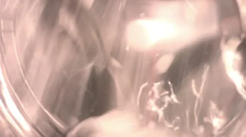 Wash Stock Footage 10792248