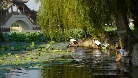 Wash the gauze in  the river Stock Footage 78657181