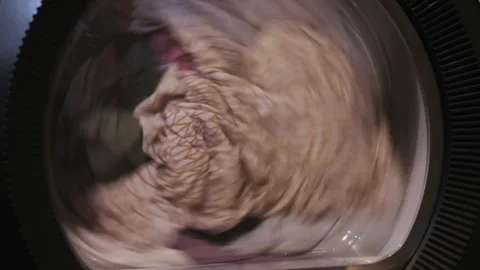 Wash machine, clothes washing machine in laundry room interior. Stock Footage 303060108