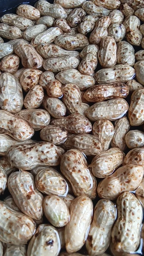 Wash peanuts with water Stock Footage 309493682