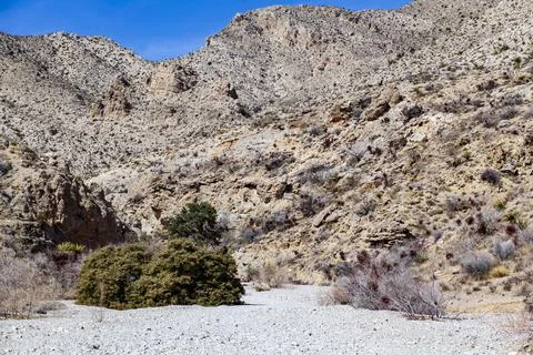 The Wash. Stock Photos