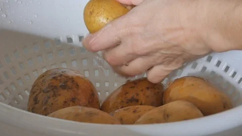 Wash potatoes Video stock 104551392