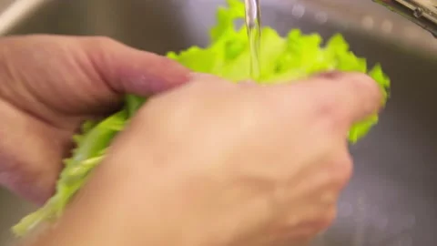 Wash the salad. 스톡 동영상 161114975