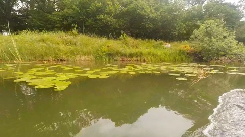 Wash from small boat and water lillies in Swedish small river Stock Footage