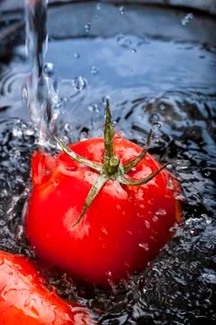 Wash tomatoes Stock Photos