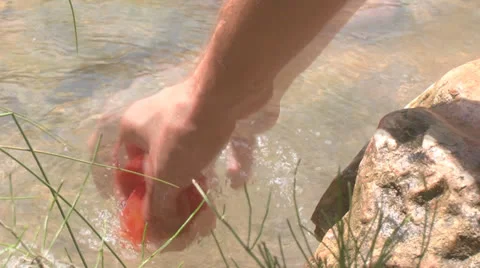 Wash tomatoes in the river Video stock 25363094