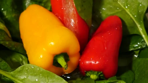 Wash Vegetables Stock Footage 57326833