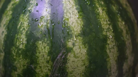 Wash the watermelon under cold running water from the tap Stock Footage 133216736