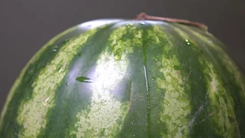 Wash the watermelon under cold running water from the tap Stock Footage 135413110
