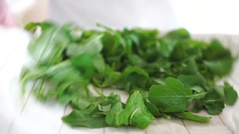 Washed arugula leaves on kitchen towel for drying Stock Footage 244515949