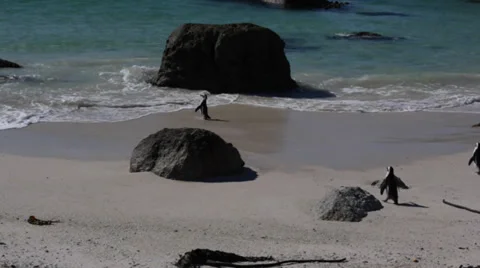 Washed away Stock Footage 38059895