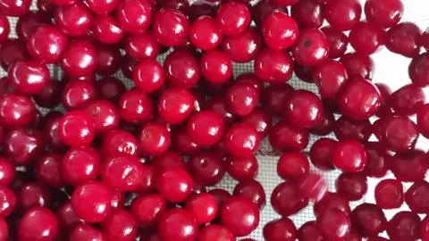 Washed cherries fall on each other. Stock-Footage 134831939
