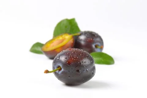 Washed fresh plums Stock Photos