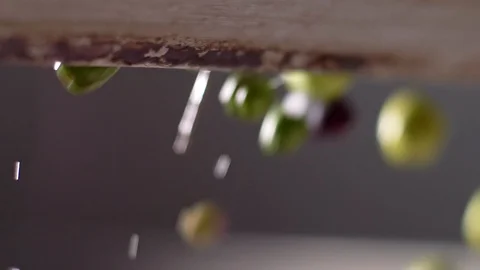 Washed olives fall into the crusher. Olive Oil mill- slow motion Stock Footage 110870911