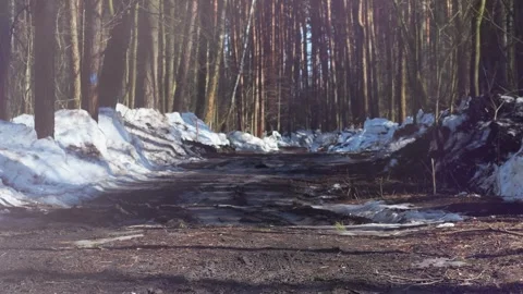 A washed-out mud road in the forest 스톡 동영상 342595671