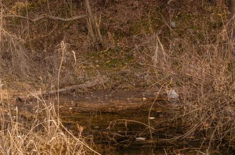 Washed up pollution at the shore Foto stock
