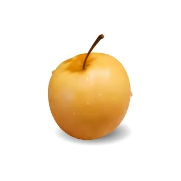 Washed ripe apple Stock Illustration