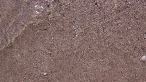 Washed up by the sea Stock Footage 11856383