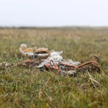 Washed up waste Stock Photos