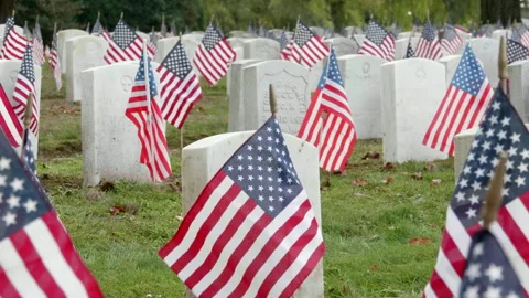 Washelli Memorial Park, Seattle USA, November 11 - USA Flags on Gravestones Stock Footage 289410302