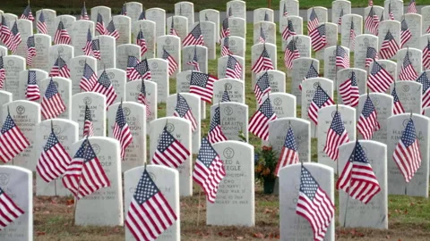 Washelli Memorial Park, Seattle USA, November 11,  America Flags Cemetery Symbol Video stock 289415688
