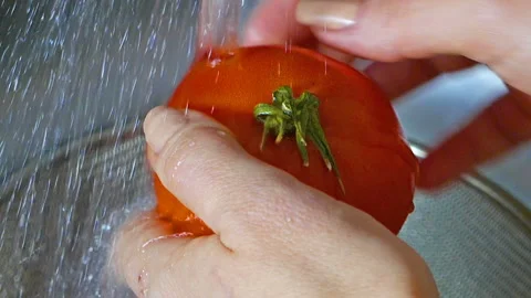 Washes fresh tomatoes under the tap Stock Footage 104129749