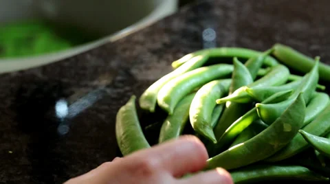Washing and removing stems from sugar bean Stock Footage 39505701