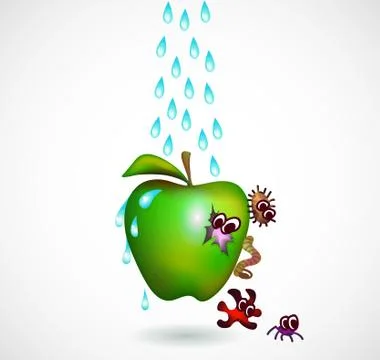 Washing an apple Stock Illustration
