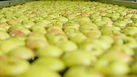 Washing apples in fruit processing factory - extreme close up. Stock Footage 104524305