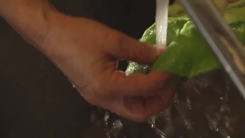 Washing bio cabbage in the kitchen Video stock 236994980