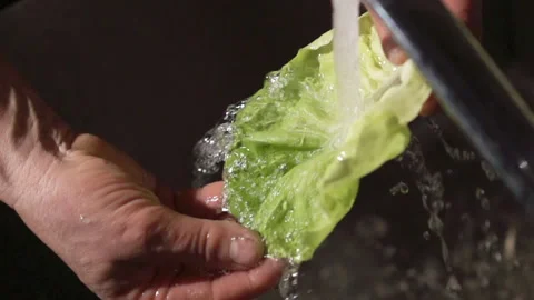 Washing bio cabbage in the kitchen Video stock 236995037