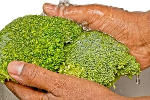 Washing broccoli Stock Photos